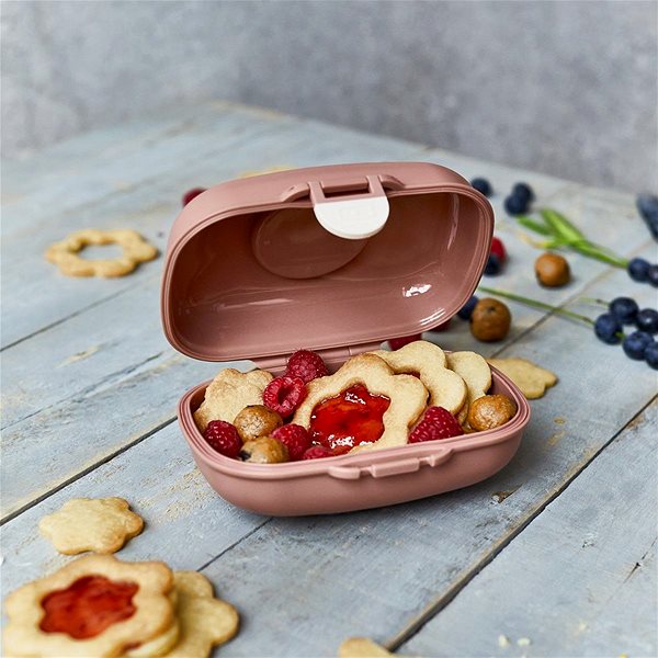 Snack Box MonBento School Snack Box Gram Fox ...