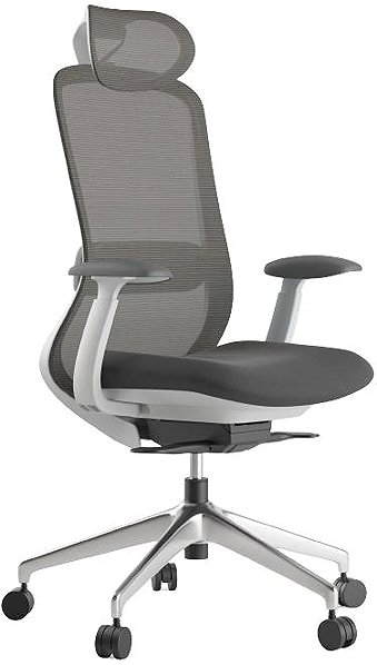 Office Chair MERCURY STAR Bessel grey plastic, dark grey ...