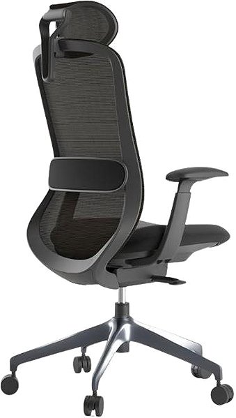 Office Chair MERCURY STAR Bessel black plastic, black ...