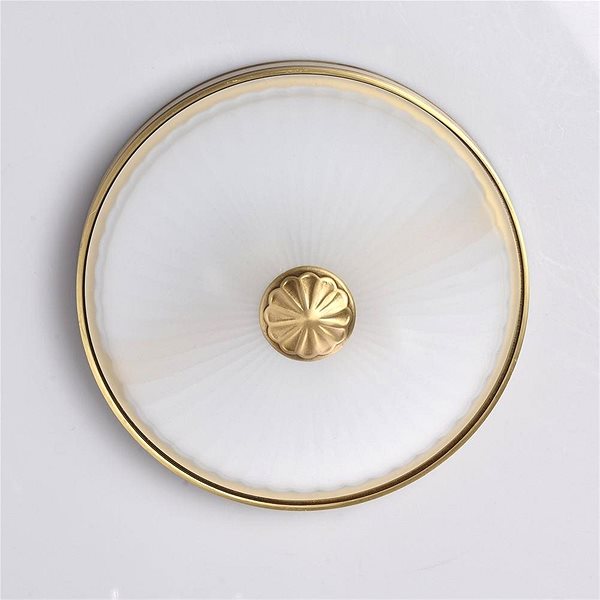 Ceiling Light MW-LIGHT - Ceiling Lamp CLASSIC, 2xE27/60W/230V Features/technology
