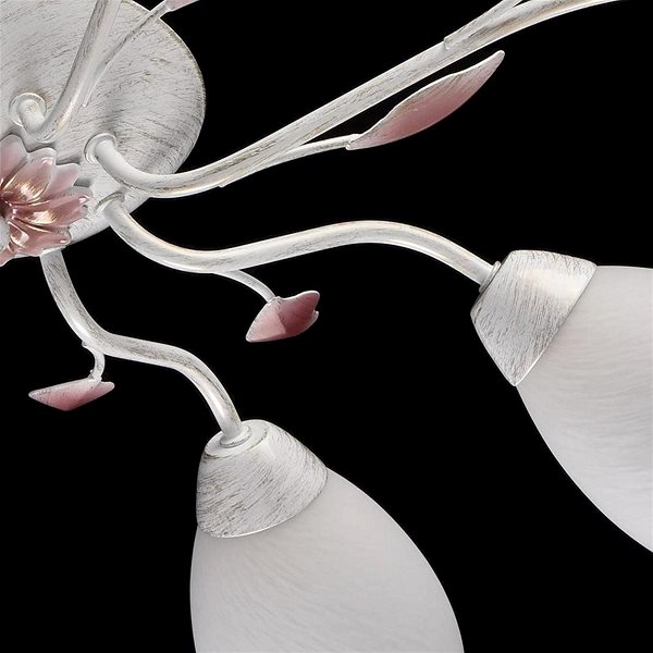 Ceiling Light MW-LIGHT - FLORA Surface Mounted Chandelier, 8xE14/60W/230V Features/technology