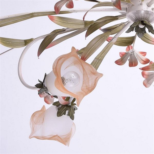 Ceiling Light MW-LIGHT - FLORA Ceiling Lamp, 6xE14/60W/230V Features/technology