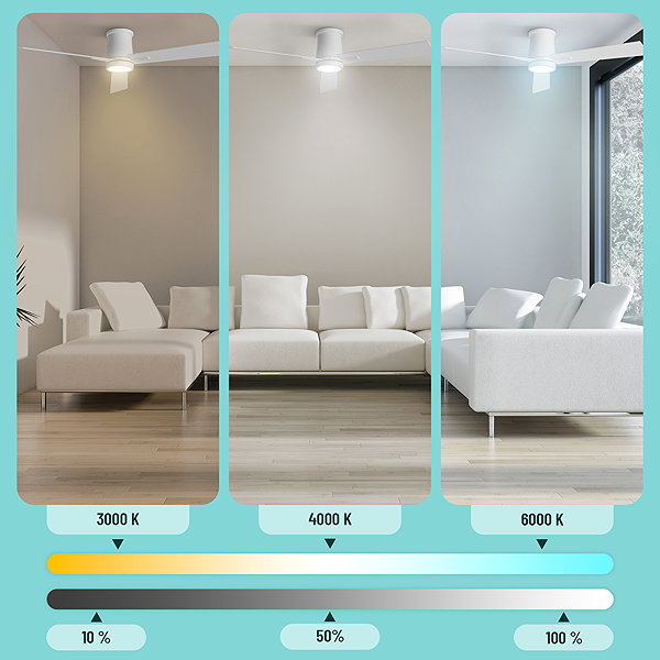 Fan NOATON 16132WWL Rhea Ceiling fan with light, white and light brown .