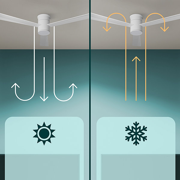 Fan NOATON 15132WW Zoya Ceiling fan with light, white .