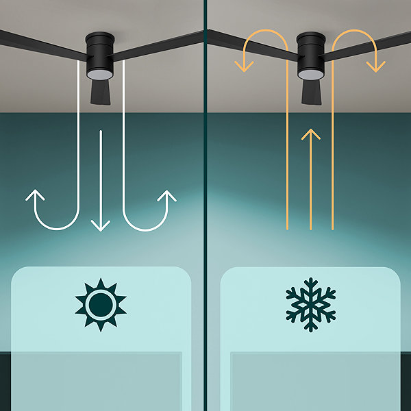 Fan NOATON 15132BB Zoya Ceiling fan with light, black .