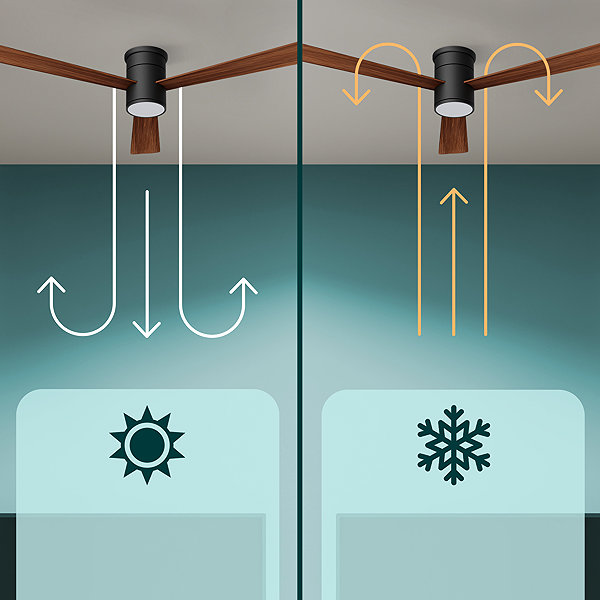 Fan NOATON 15132BD Zoya Ceiling fan with light, dark brown .
