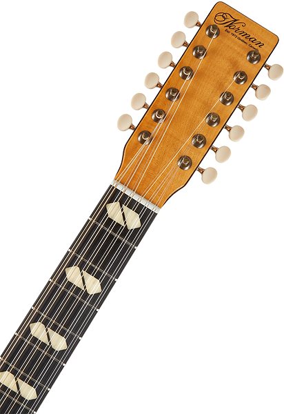 Elektroakustische Gitarre Norman B50 12 Natural SG Element ...