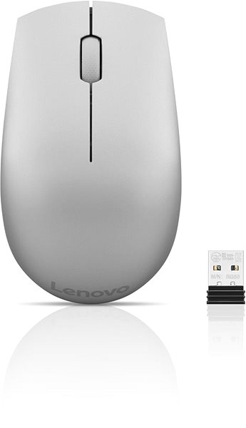 Mouse Lenovo 520 Wireless Mouse Platinum Connectivity (ports)