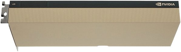 Graphics Card NVIDIA L20 Passive PCIe 48GB ...