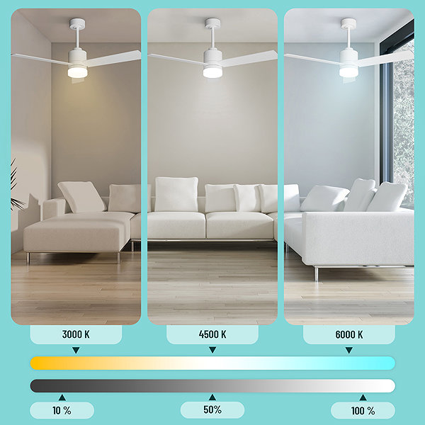 Fan NOATON 14132WWL Canis ceiling fan with light, white and light brown ...