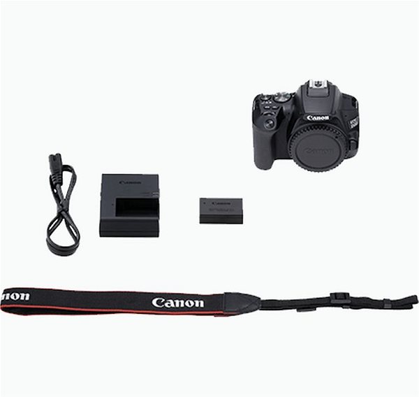 Digitalkamera Canon EOS 250D Packungsinhalt