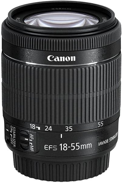 Digitalkamera Canon EOS 250D schwarz + EF-S 18-55 mm f/4-5.6 IS STM Optional