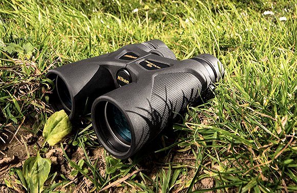 prostaff 3s 10x42 review