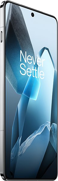 Mobile Phone OnePlus 13 5G 16GB/512GB Midnight Ocean ...