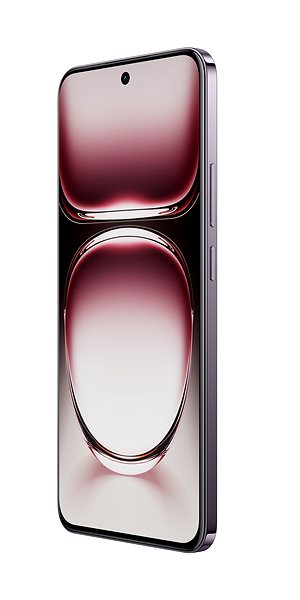 Mobile Phone OPPO Reno12 Pro 5G 12GB/512GB Nebula Black ...