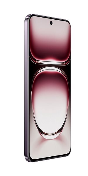 Mobile Phone OPPO Reno12 Pro 5G 12GB/512GB Nebula Black ...