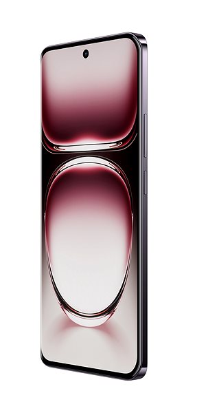 Mobile Phone OPPO Reno12 5G 12GB/256GB Brown Black ...