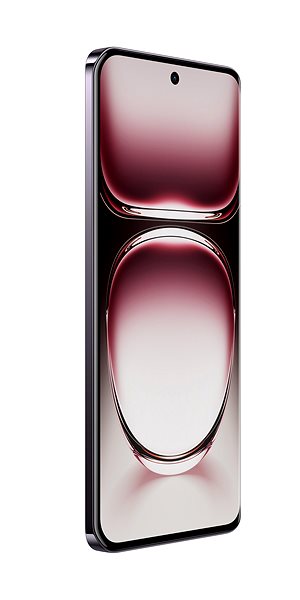 Mobile Phone OPPO Reno12 5G 12GB/256GB Brown Black ...