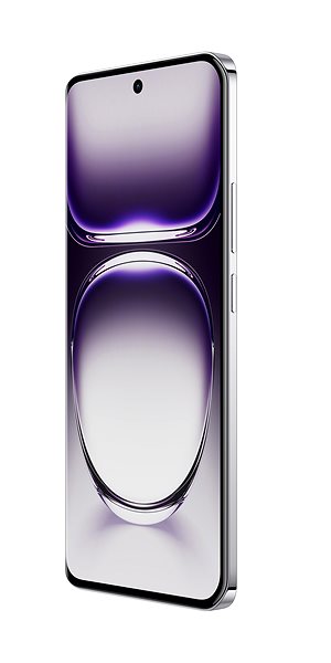 Mobile Phone OPPO Reno12 5G 12GB/256GB Astro Silver ...