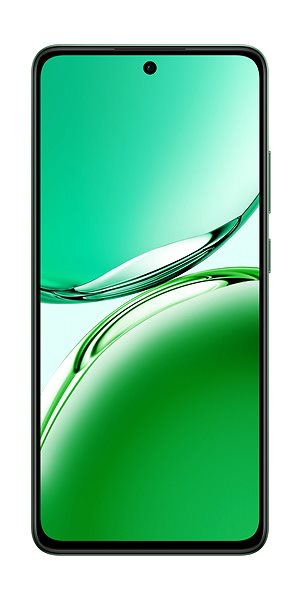 Mobile Phone OPPO Reno12 FS 5G 12GB/512GB Black Green ...