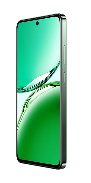 Mobile Phone OPPO Reno12 FS 5G 12GB/512GB Black Green ...