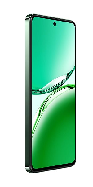 Mobile Phone OPPO Reno12 FS 5G 12GB/512GB Black Green ...