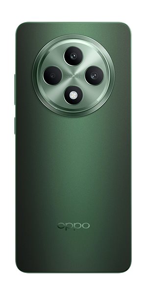 Mobile Phone OPPO Reno12 FS 5G 12GB/512GB Black Green ...