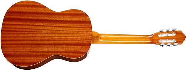 Classical Guitar ORTEGA R121G ...