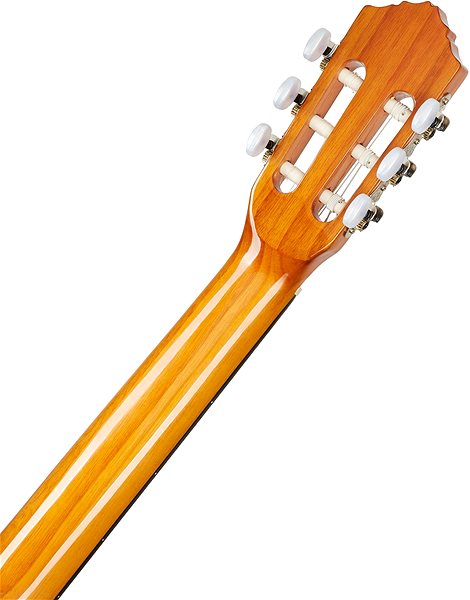 Klasická gitara ORTEGA R121G ...