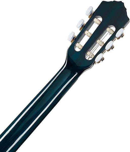 Klasická gitara ORTEGA R121SNOC ...