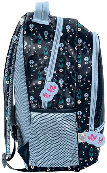 Backpack Paso school backpack Frozen DF23LL-260 .