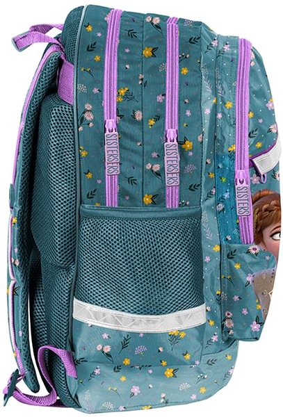 Backpack Paso school backpack Frozen DF23XX-116 .