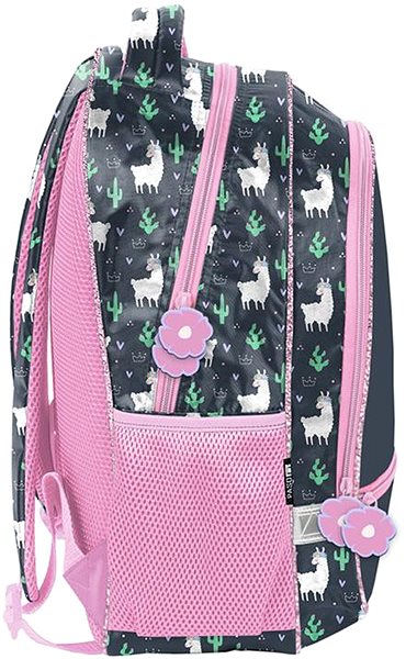Backpack Paso school backpack Lama PP23LA-260 .