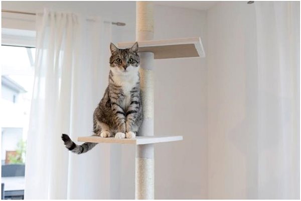 Cat scratching post Kerbl Ferdi 38 × 38 × 260 cm .