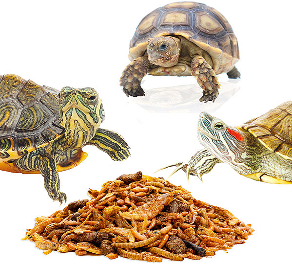 Terrarium pet food UGF Turtle mix 500 g .