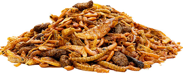 Terrarium pet food UGF Turtle mix 500 g .