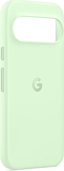 Handyhülle Google Pixel 9 / 9 Pro Case Wintergreen ...