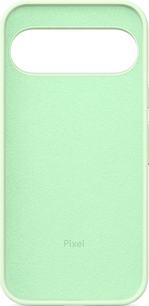 Handyhülle Google Pixel 9 / 9 Pro Case Wintergreen ...
