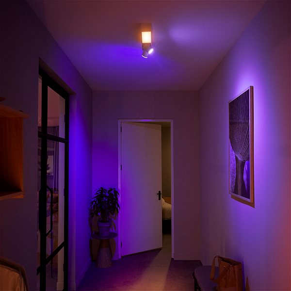 Ceiling Light Philips Hue White and Color Ambiance Centris 2L Ceiling White 50610/31/P7 Lifestyle