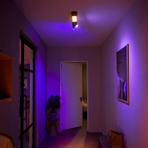 Ceiling Light Philips Hue White and Color Ambiance Centris 2L Ceiling Black 50610/30/P7 Lifestyle