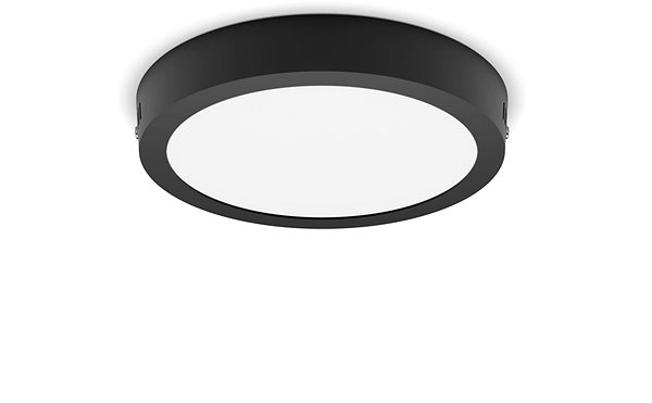 Ceiling Light Philips MAGNEOS ...