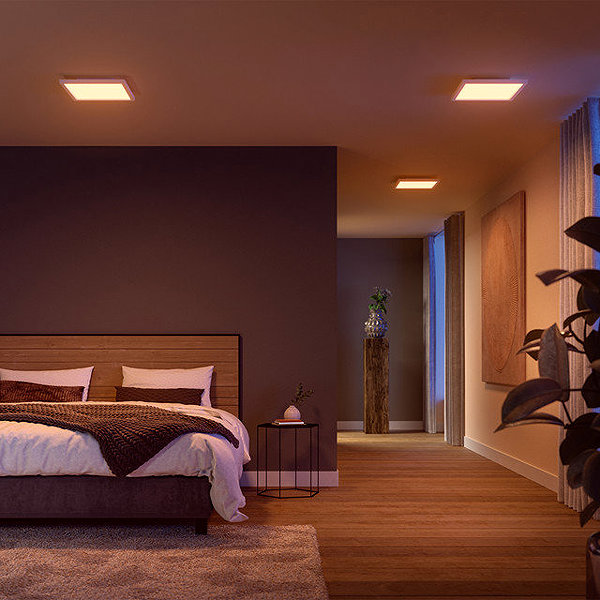 Ceiling light Philips Hue Surimu Panel SQ small .