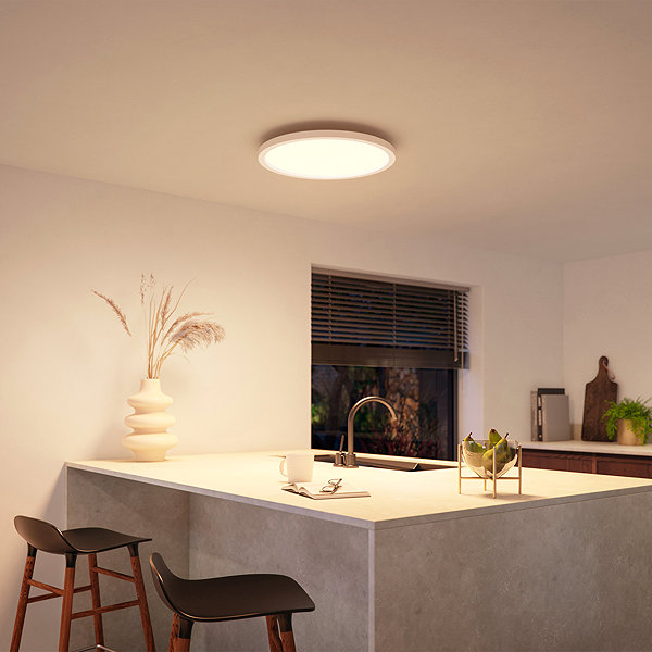 Ceiling light Philips Hue Surimu Panel RD .
