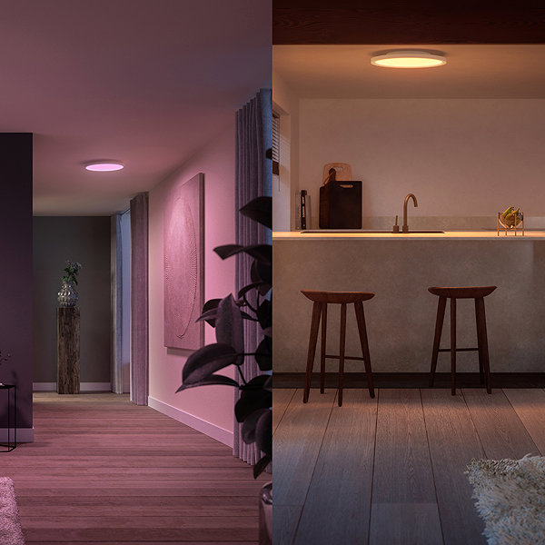 Ceiling light Philips Hue Surimu Panel RD .