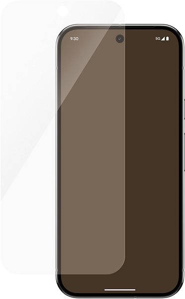 Glass Screen Protector PanzerGlass Google Pixel 9/9 Pro ...