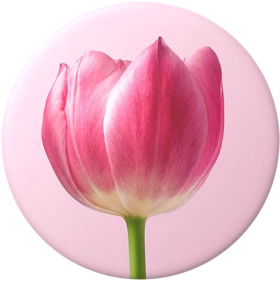 Držák na mobilní telefon PopSockets PopGrip Gen.2, It Takes Tulip, růžový tulipán Screen