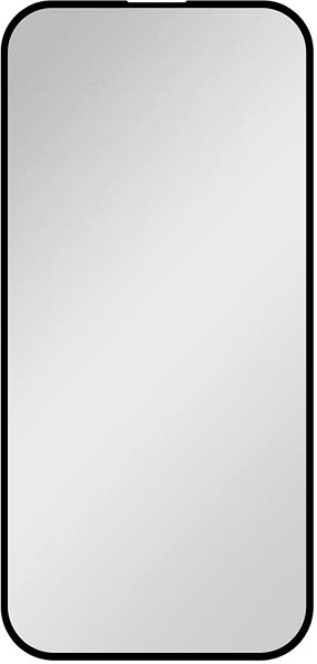 Glass Screen Protector FIXED Privacy FullGlue-Cover for Apple iPhone 16 Plus black ...