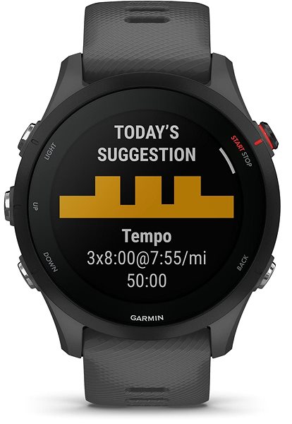 Smart Watch Garmin Forerunner 255 Slate Grey Screen