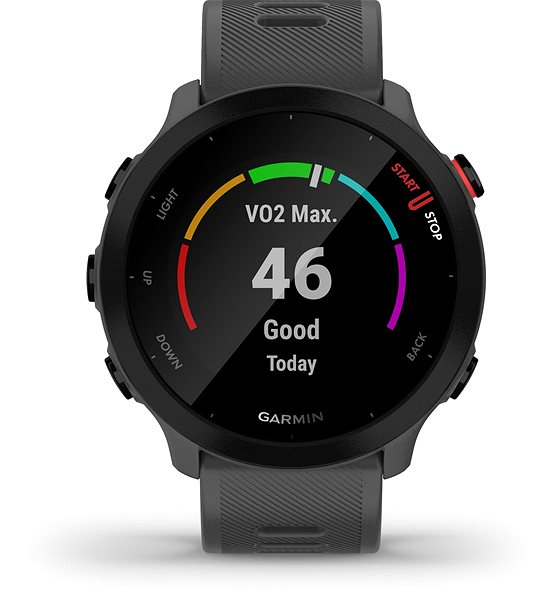 Smart Watch Garmin Forerunner 55 Monterra Grey Screen