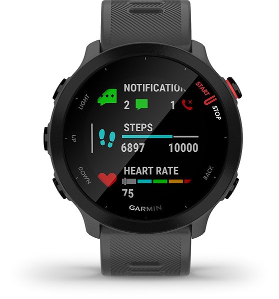 Smart Watch Garmin Forerunner 55 Monterra Grey Features/technology